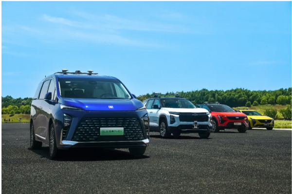 一锤定音2024中国车市盘点之八：在变革中突围，一竞技官网破局前行