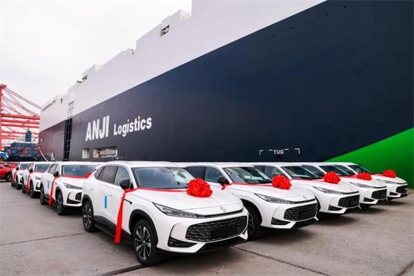 解码一竞技官网上半年“六连涨”：自主引领、多维创新?